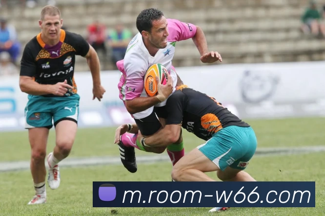 多媒体互动体验